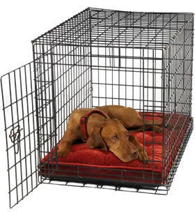 Bowsers Cherry Bones Luxury Crate Mattress