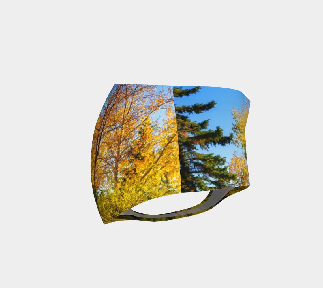 Women's Mini Shorts - Calgary in the Fall